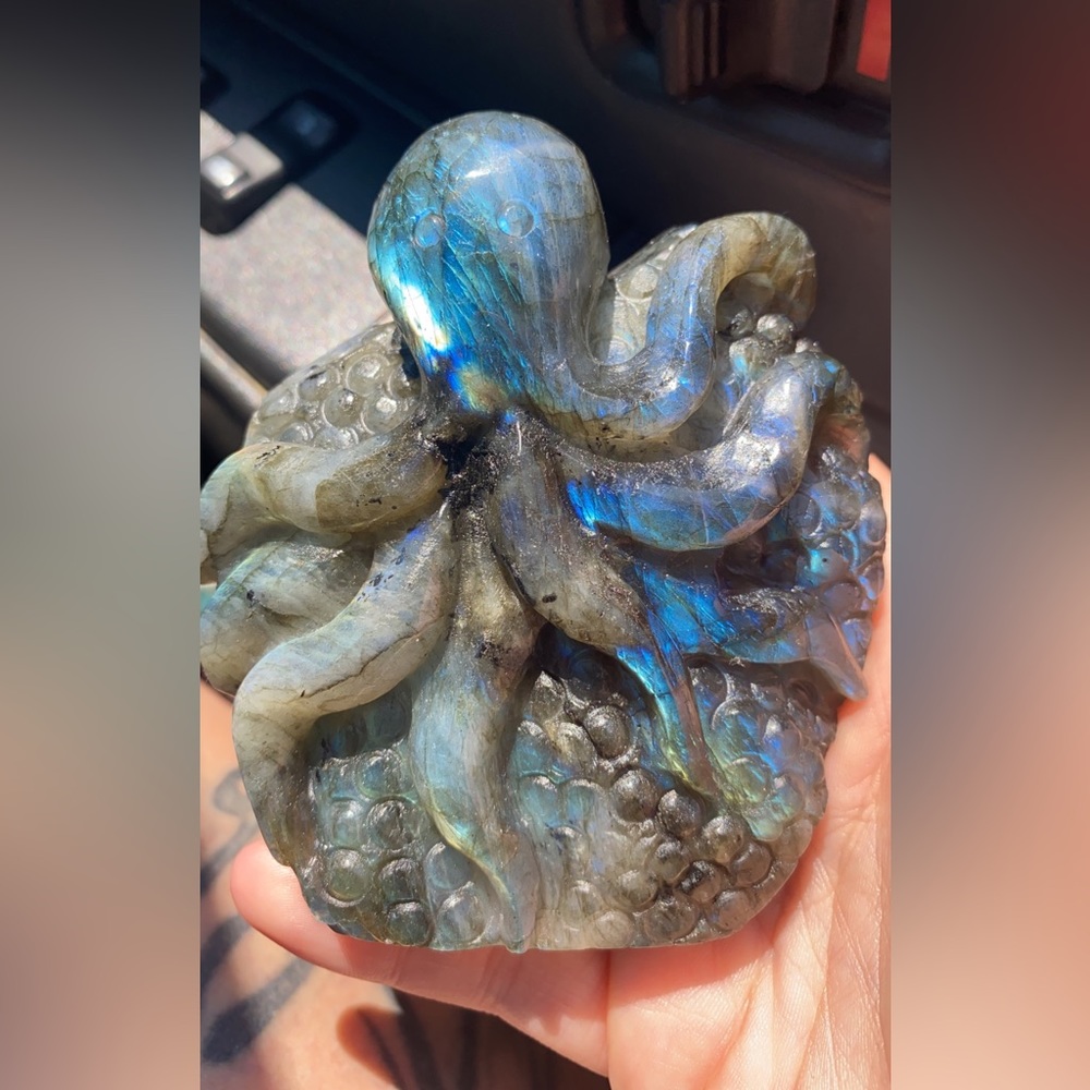 Lab octopus ( SOLD )